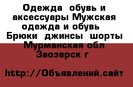 Одежда, обувь и аксессуары Мужская одежда и обувь - Брюки, джинсы, шорты. Мурманская обл.,Заозерск г.